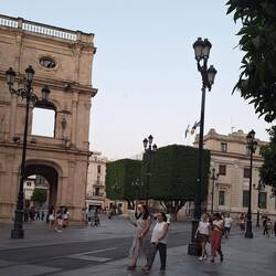 Look at how the bushes/ trees have been cut