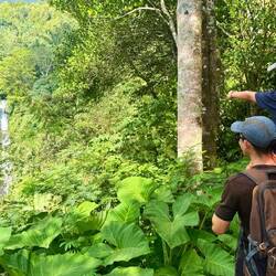 Randonnée familiale à Munduk pour approcher les cascades