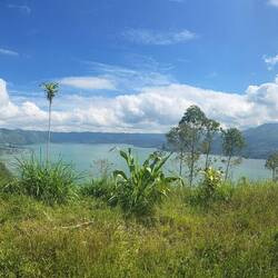 Le lac au creux de l'ancien volcan de l'ère du pléistocène à la création de l'île