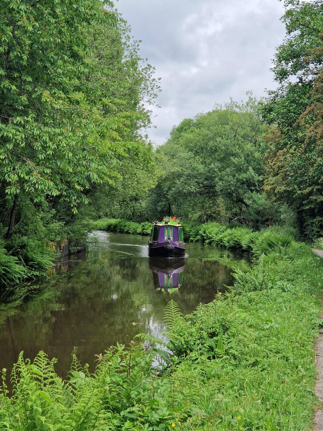 Beautiful green start to the journey