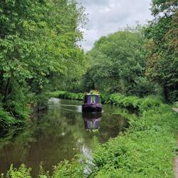 Beautiful green start to the journey