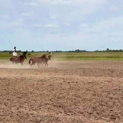 Das ist definitiv das Highlight der Show 🥰🥰🥰