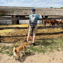 Mica findet es super gefährlich was Sir macht 😂