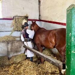 Gleich geht die Show los...