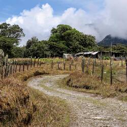 The road to Baru Volcano.