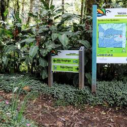 The road to Baru Volcano.