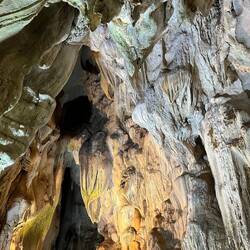 The bat cave