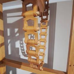 Catena di trasmissione