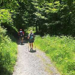 And then finally there was a DIWN, for 1.5km into Roncesvalles