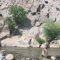 Sonntag ist Picknick Tag. Viele Handabdrücke folgen.