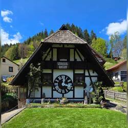 Erste weltgrößte Kuckuck's Uhr