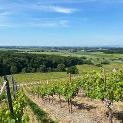 Panorama Richtung Gerolzhofen