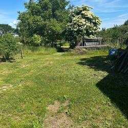 Bei Toni im Garten