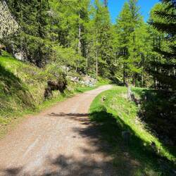 Gemütlicher Weg