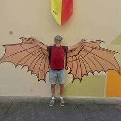 Video della giornata