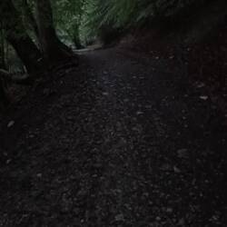 Und dann ging es eben nur noch hoch, die einzige Gerade habe ich fotografiert