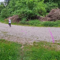 Heute war auch ein Berglauf, Markierung in lila