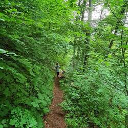 Ich glaub sie hat Hunger