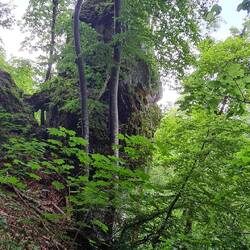 Immer den Hang hinab, die Laune ist gut