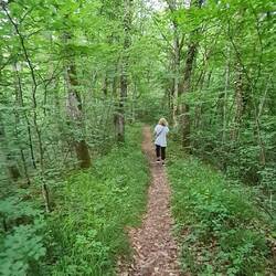 Und läuft und läuft und läuft