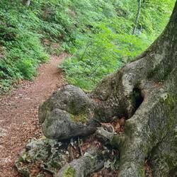 Es dauerte eine Weile, bis wir bei der Nebelhöhle den Weg ...