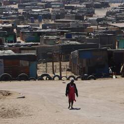 Wellblech dominiert auch hier das Geschehen...