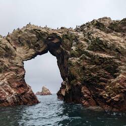 Paracas Balletas Inseln, auch Galapagos der Armen genannt