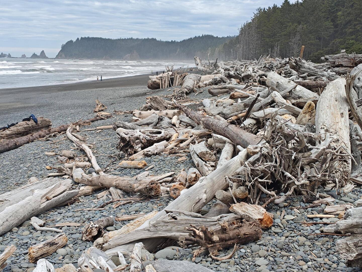 Rialto beach