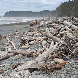 Rialto beach