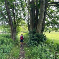 Some lowland scenery