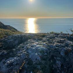 ... und die sagen sich hier auch bald gute Nacht ☺️