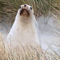 Hello there...don't mind me...