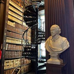 In the Library