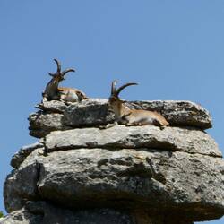 So nah waren wir in den Alpen noch nie dran.