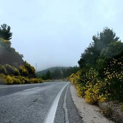 Ab Kilometer neun Regen