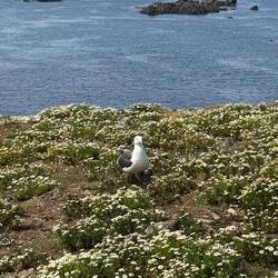 3 Babys und eine wachsame Mama