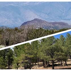 Gute Luft und Sxhwarzwaldgefühle, auf den Gipfeln liegt noch Schnee