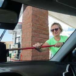 Endlich wieder Durchblick - hier gibt es noch Insekten