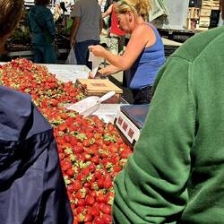 Strawberry vendor