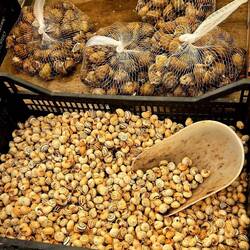 Snails, as many as you want.