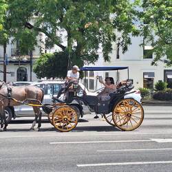 Another way to see the city