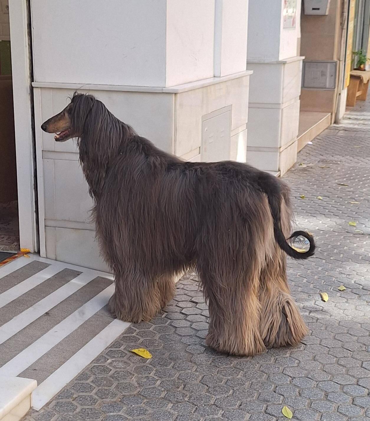 We met What a Mess today