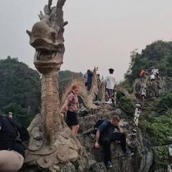 Was die Leute nicht alles für ein Selfie tun