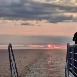 Ik ben niet de enige.