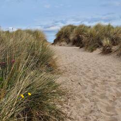 Ploeteren in het mulle zand.