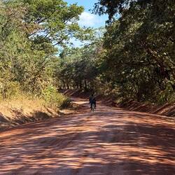 Sieht idyllisch aus. War's anfangs auch. Ein Radfahrer war ein Highlight auf einsamen Wegen.