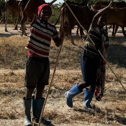 Die Cowboys Tansanias! Der Hingucker: Die "Cowboystiefel"!