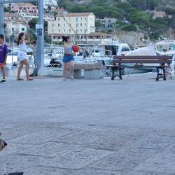 My favourite bar down at the port for aperitivo