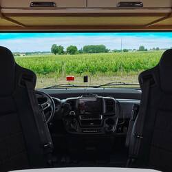 Stellplatz mit Blick auf den Weinanbau