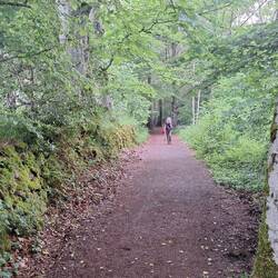 Leaving Roncesvalles